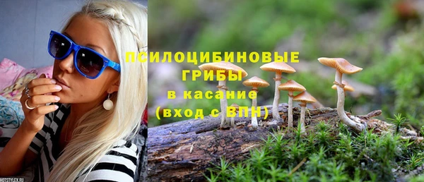 PSILOCYBIN Зерноград