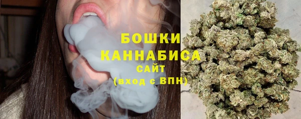 PSILOCYBIN Зерноград
